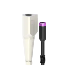 COMPONENTE DIGITAL - SCANBODY IMPLANTE SL